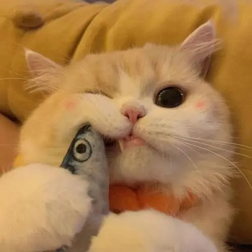 Eko Prasetyo avatar
